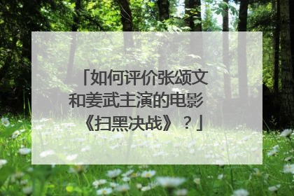 如何评价张颂文和姜武主演的电影《扫黑决战》?