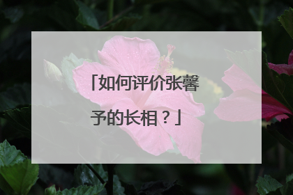 如何评价张馨予的长相？