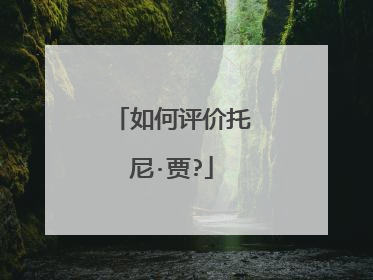 如何评价托尼·贾?