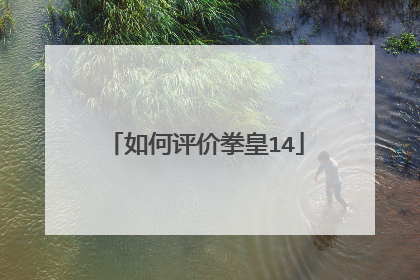 如何评价拳皇14