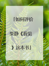 如何评价柴静《看见》这本书