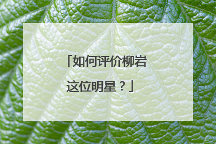 如何评价柳岩这位明星？