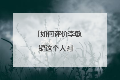 如何评价李敏镐这个人?