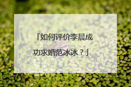 如何评价李晨成功求婚范冰冰?