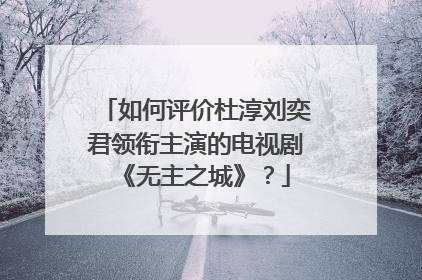 如何评价杜淳刘奕君领衔主演的电视剧《无主之城》?