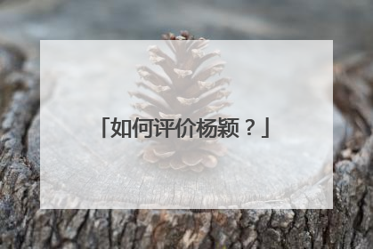 如何评价杨颖？