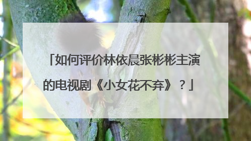 如何评价林依晨张彬彬主演的电视剧《小女花不弃》?