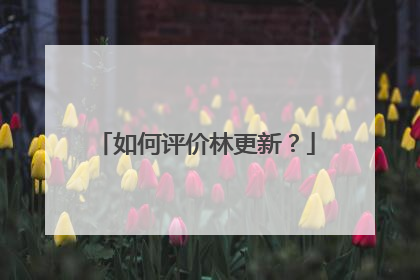 如何评价林更新?