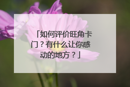 如何评价旺角卡门?有什么让你感动的地方?