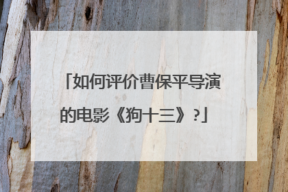 如何评价曹保平导演的电影《狗十三》?