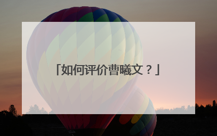 如何评价曹曦文？