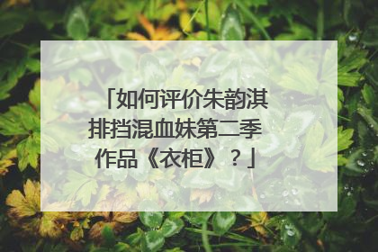 如何评价朱韵淇排挡混血妹第二季作品《衣柜》？