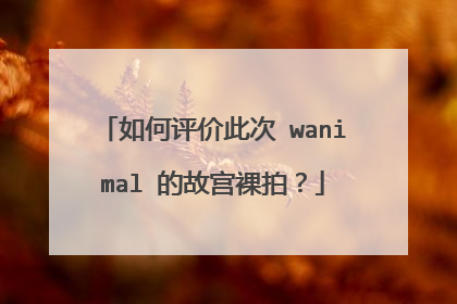 如何评价此次 wanimal 的故宫裸拍?