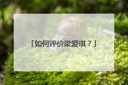 如何评价梁爱琪？