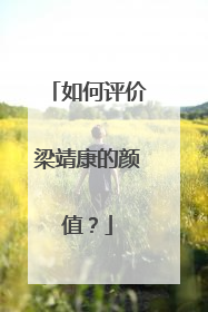 如何评价梁靖康的颜值？