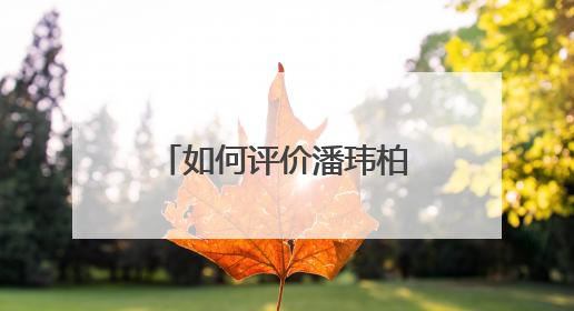 如何评价潘玮柏主演的电视剧《不得不爱》?