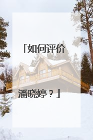 如何评价潘晓婷？