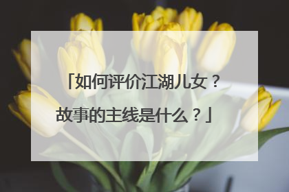如何评价江湖儿女？故事的主线是什么？
