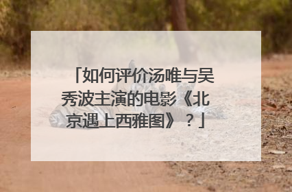 如何评价汤唯与吴秀波主演的电影《北京遇上西雅图》？