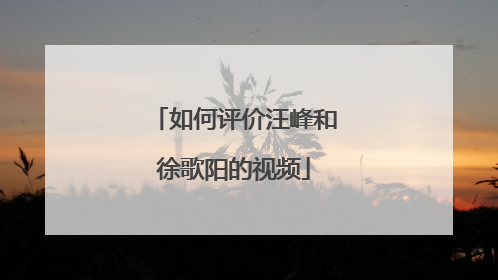 如何评价汪峰和徐歌阳的视频