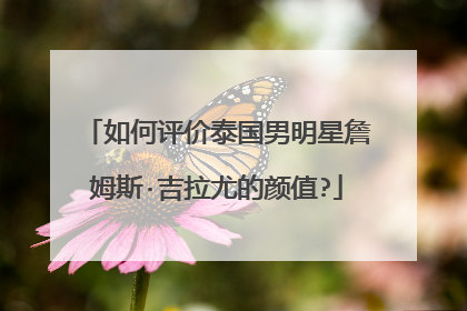 如何评价泰国男明星詹姆斯·吉拉尤的颜值?