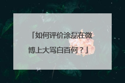 如何评价涂磊在微博上大骂白百何？