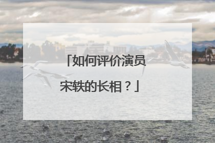 如何评价演员宋轶的长相？