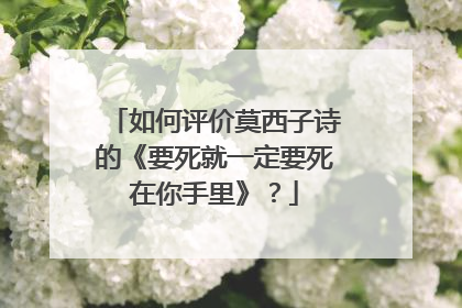 如何评价莫西子诗的《要死就一定要死在你手里》？