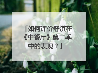 如何评价舒淇在《中餐厅》第二季中的表现?
