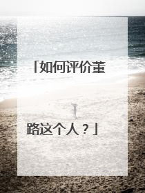 如何评价董路这个人？