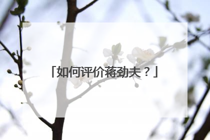 如何评价蒋劲夫？