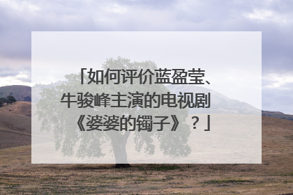 如何评价蓝盈莹、牛骏峰主演的电视剧《婆婆的镯子》？