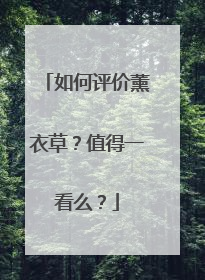 如何评价薰衣草?值得一看么?