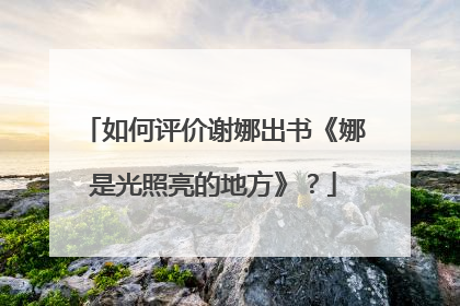 如何评价谢娜出书《娜是光照亮的地方》?