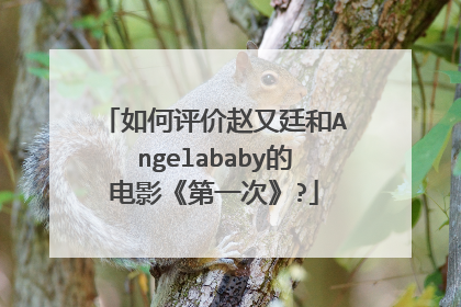 如何评价赵又廷和Angelababy的电影《第一次》?