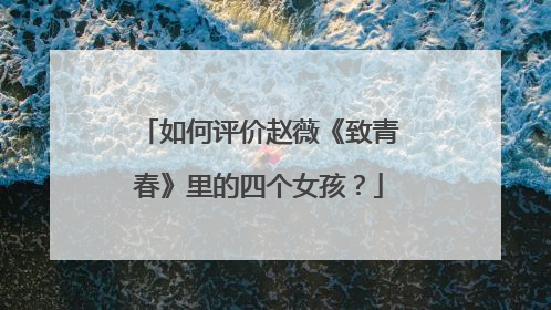 如何评价赵薇《致青春》里的四个女孩?