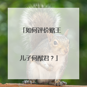 如何评价赌王儿子何猷君？