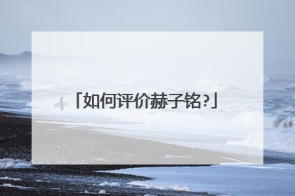 如何评价赫子铭?