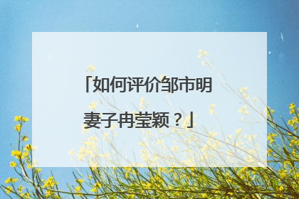 如何评价邹市明妻子冉莹颖?