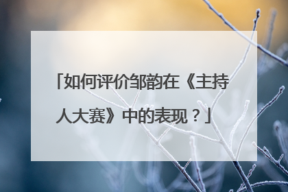 如何评价邹韵在《主持人大赛》中的表现?