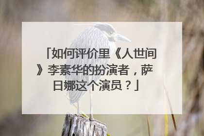 如何评价里《人世间》李素华的扮演者,萨日娜这个演员?