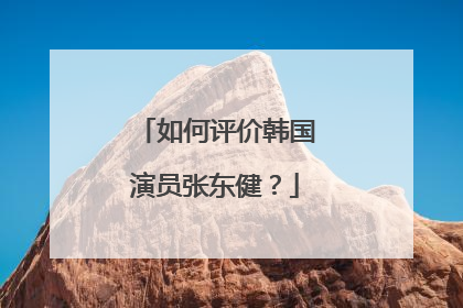 如何评价韩国演员张东健？