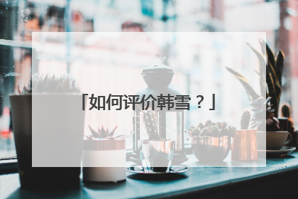 如何评价韩雪？