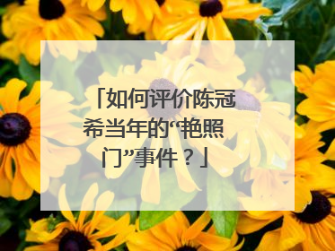 如何评价陈冠希当年的“艳照门”事件？