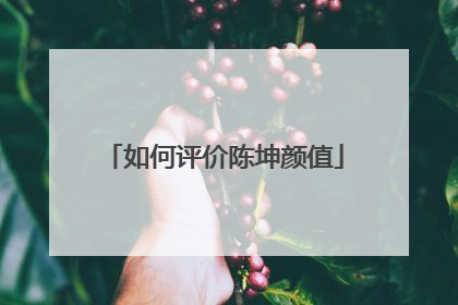 如何评价陈坤颜值