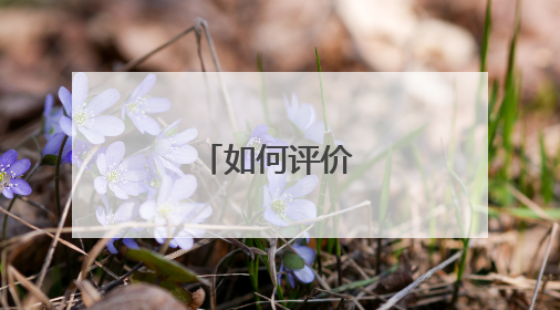 如何评价陈思思？