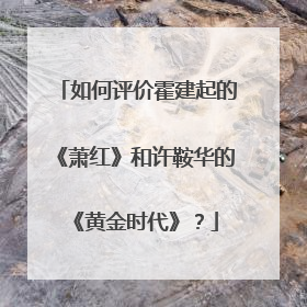 如何评价霍建起的《萧红》和许鞍华的《黄金时代》?