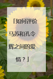 如何评价马苏和孔令辉之间的爱情？