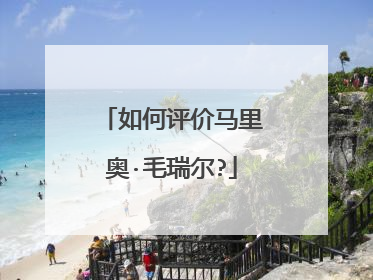 如何评价马里奥·毛瑞尔?