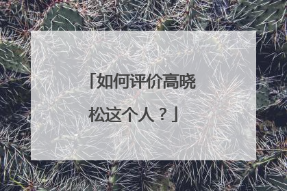 如何评价高晓松这个人?
